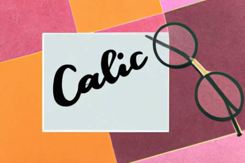 spectrum fiber map FIBER INSIDER - Calix News 480x320